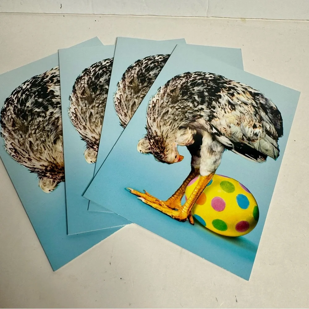 4 Avanti Greeting cards - chicken laying an Easter egg Holiday: Easter